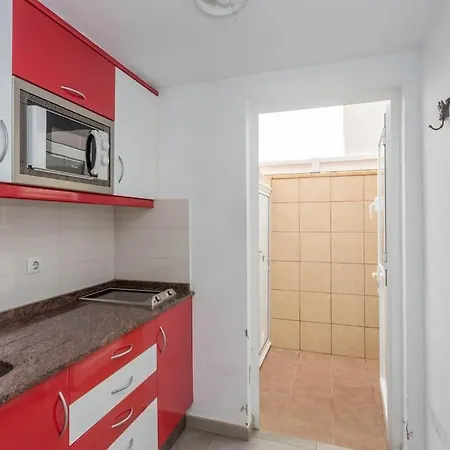 Apartamento Con Terraza Y Piscina *